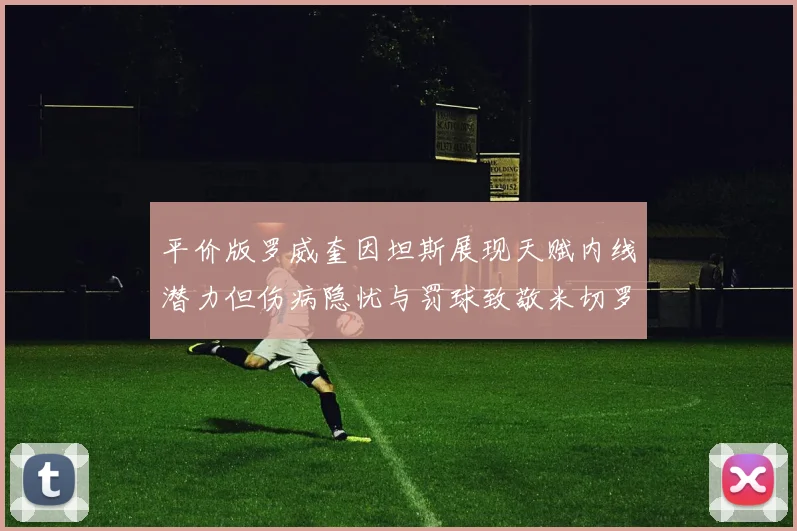 平价版罗威奎因坦斯展现天赋内线潜力但伤病隐忧与罚球致敬米切罗